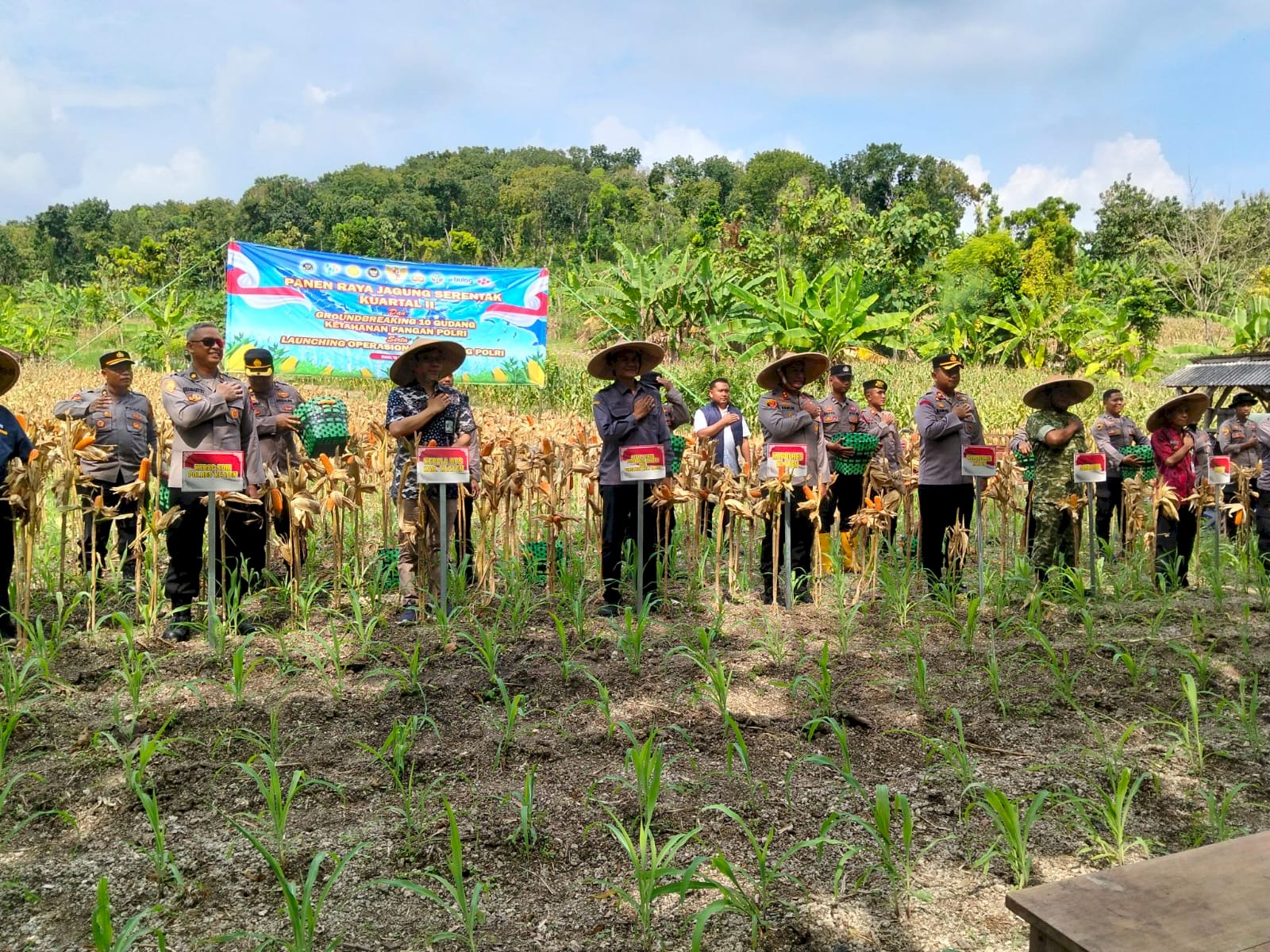 KEPALA DKPP KLATEN MENDAMPINGI KAPOLRES PANEN RAYA JAGUNG SERENTAK KUARTAL II
