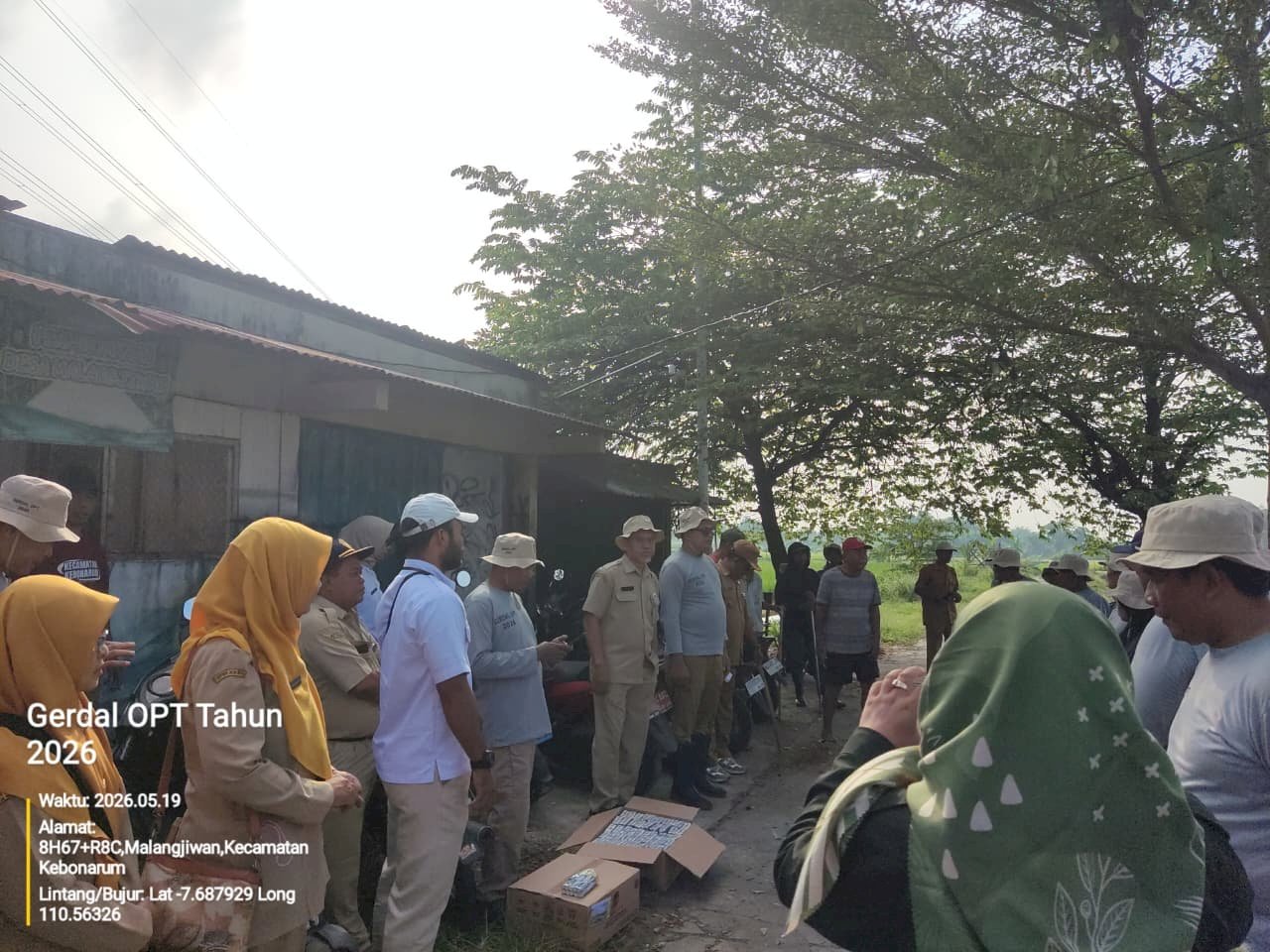DKPP KLATEN DUKUNG GERAKAN PENGENDALIAN HAMA TIKUS DI KEBONARUM KAB. KLATEN