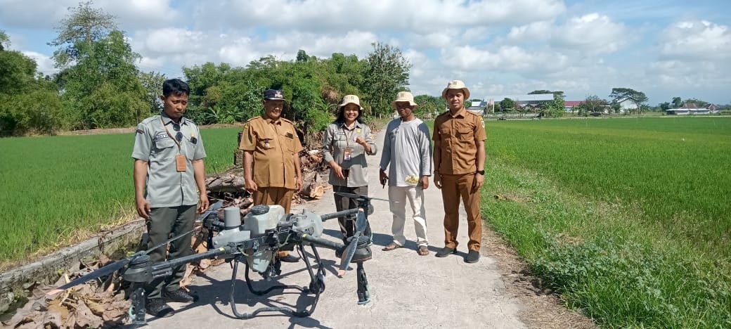 GIAT PENGENDALIAN ORGANISME PENGGANGGU TANAMAN PENGGEREK BATAK