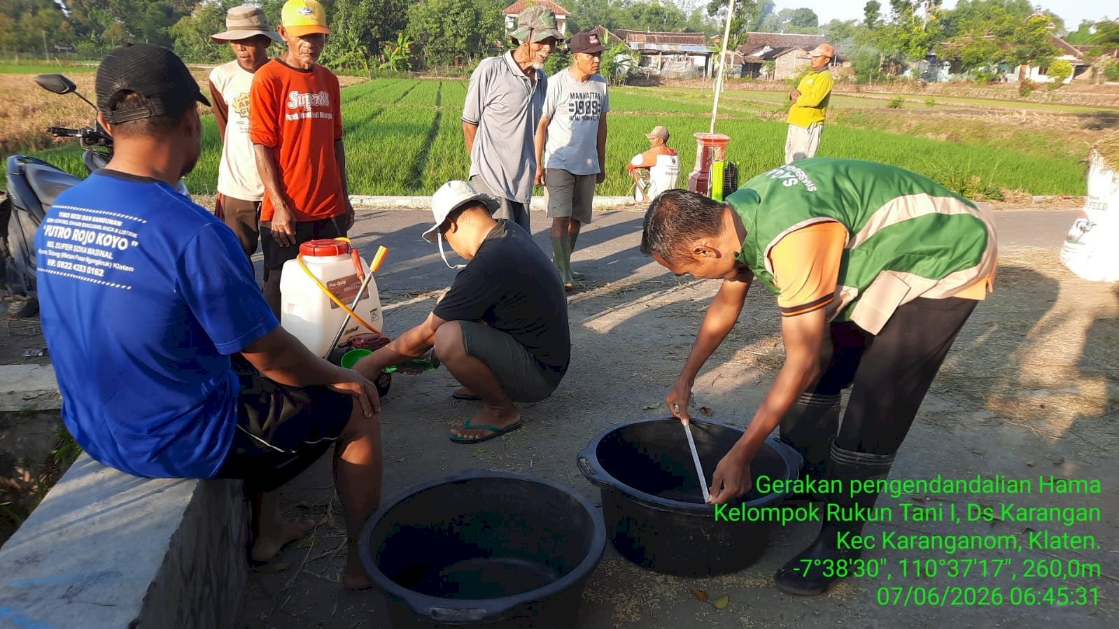GERAKAN PENGENDALIAN HAMA WERENG KARANGANOM