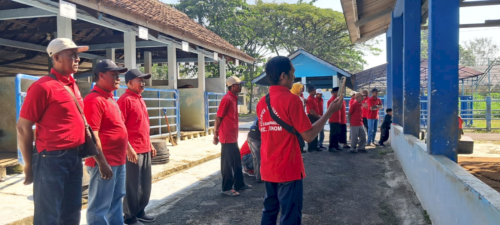 KUNJUNGAN POKTAN PUSPASARI KE BALAI INSEMINASI BUATAN (BIB) UNGARAN PROV JATENG