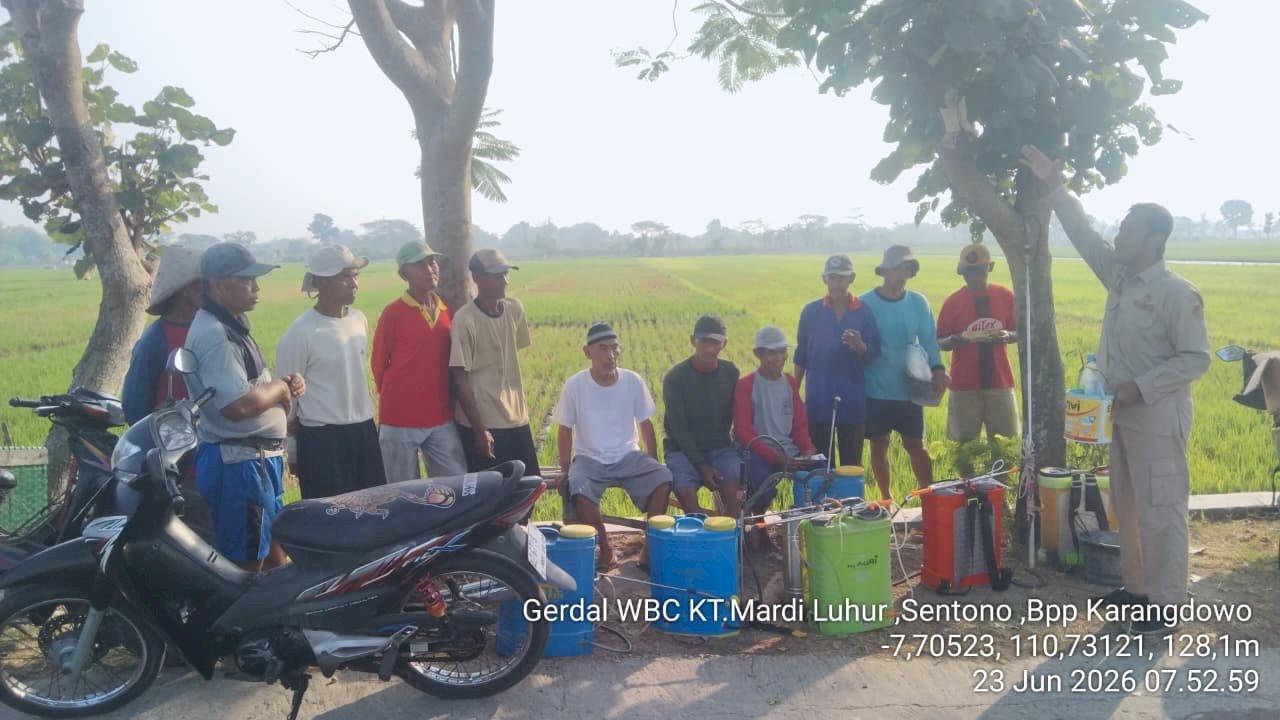 PENYULUHAN DAN GERDAL WBC (Wereng Batang Coklat) POKTAN MARDI LUHUR KARANGDOWO