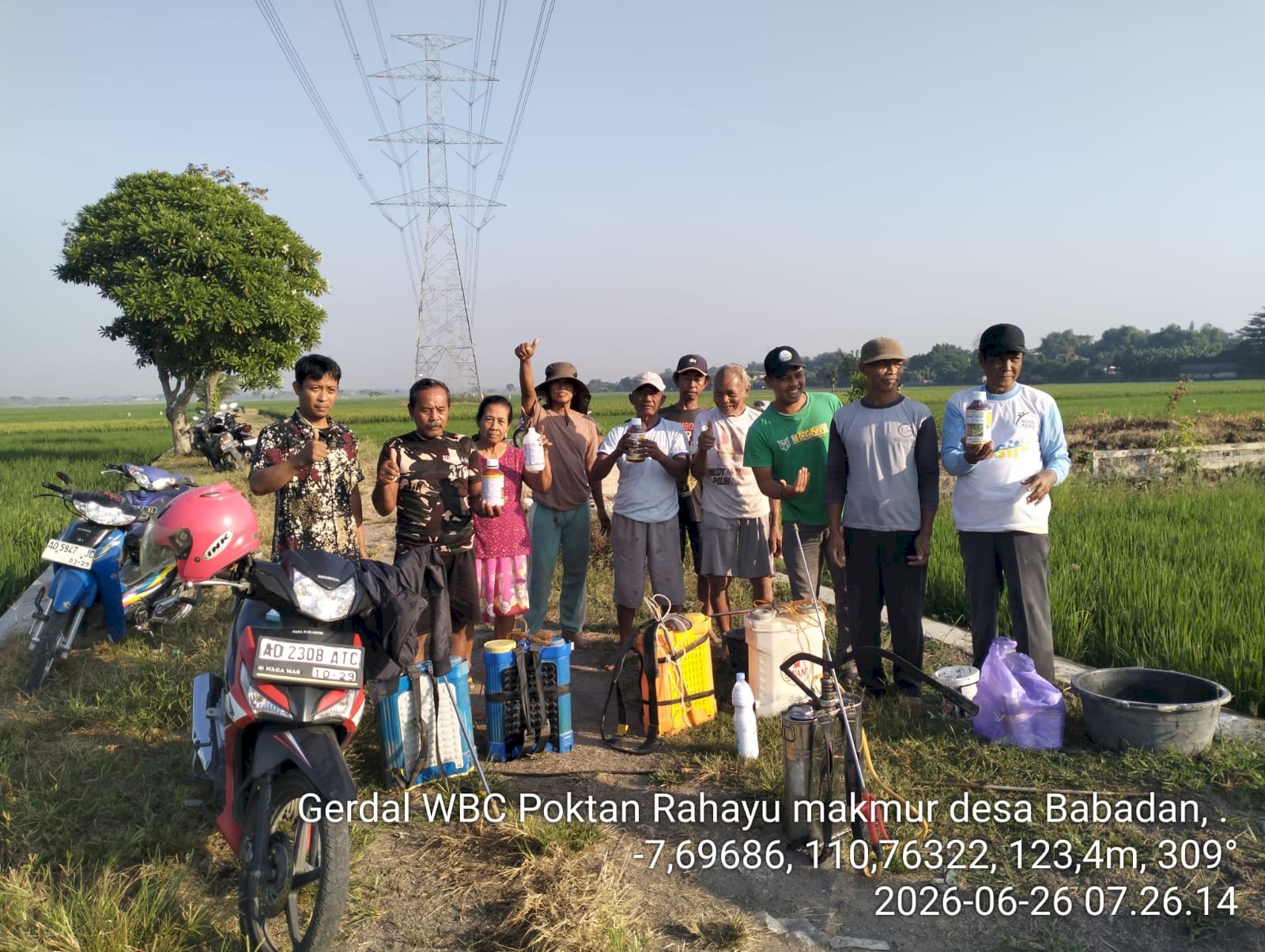 DKPP Klaten Laksanakan Gerakan Pengendalian Wereng Batang Coklat di Kecamatan Karangdowo