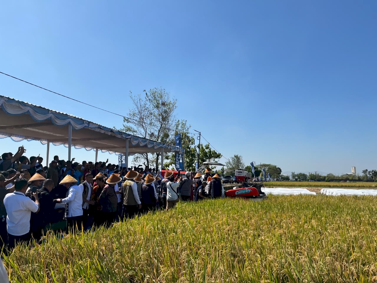 DKPP Klaten Mendampingi Kunjungan Kerja Spesifik Komisi IV DPR RI dalam Kegiatan Panen Raya
