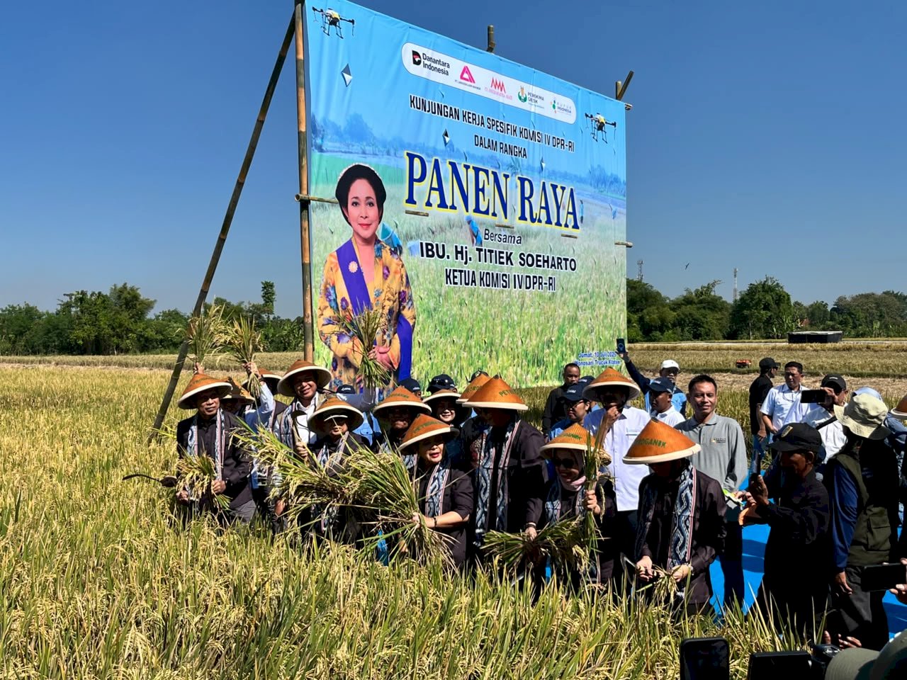 DKPP Klaten Mendampingi Kunjungan Kerja Spesifik Komisi IV DPR RI dalam Kegiatan Panen Raya