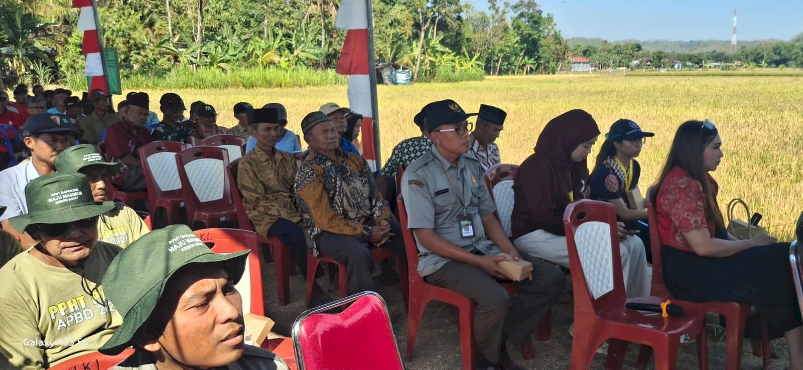 Farmer Field Day di KT Maju Makmur Kebon Bayat, Ketua DPRD Klaten Dorong Inovasi Pertanian