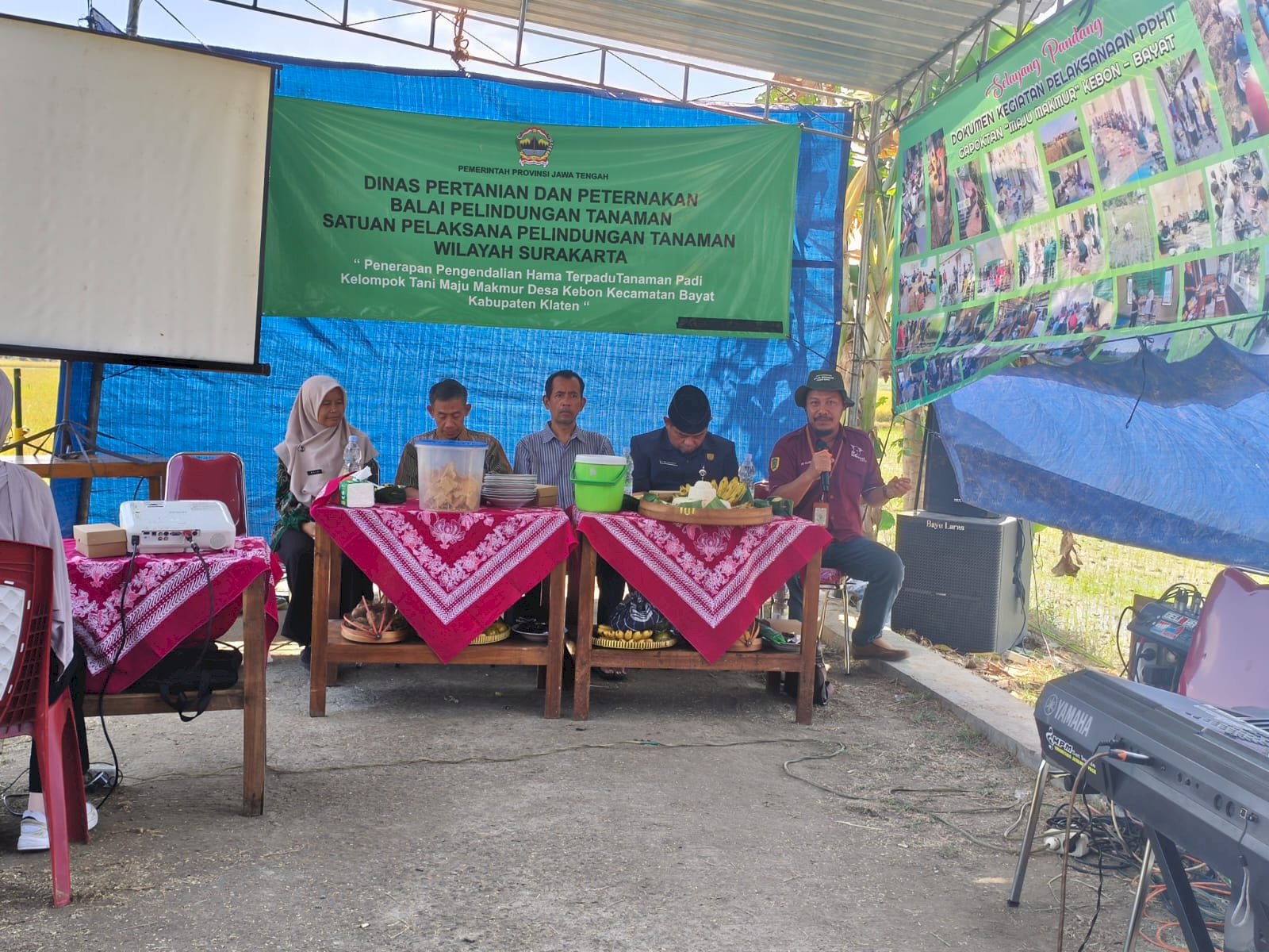 Farmer Field Day di KT Maju Makmur Kebon Bayat, Ketua DPRD Klaten Dorong Inovasi Pertanian