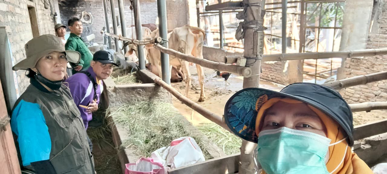 Puskeswan Kota Klaten Gelar Yanduwan, Vaksinasi PMK dan Monitoring Pedet IB di Desa Jimbung