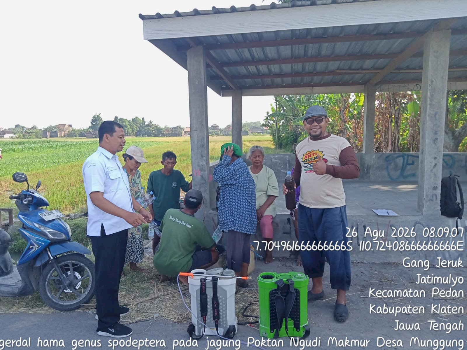 Gerakan Pengendalian Hama Spodoptera Pada Jagung di Poktan Ngudi Makmur Karangdowo