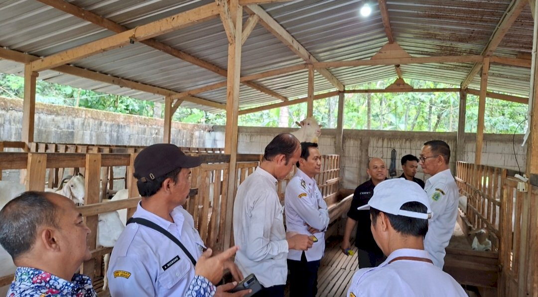 Pemkab Klaten dan Pemkab Gunungkidul Teken PKS Pengendalian Penyakit Hewan dan Pengawasan Lalu Lintas Ternak