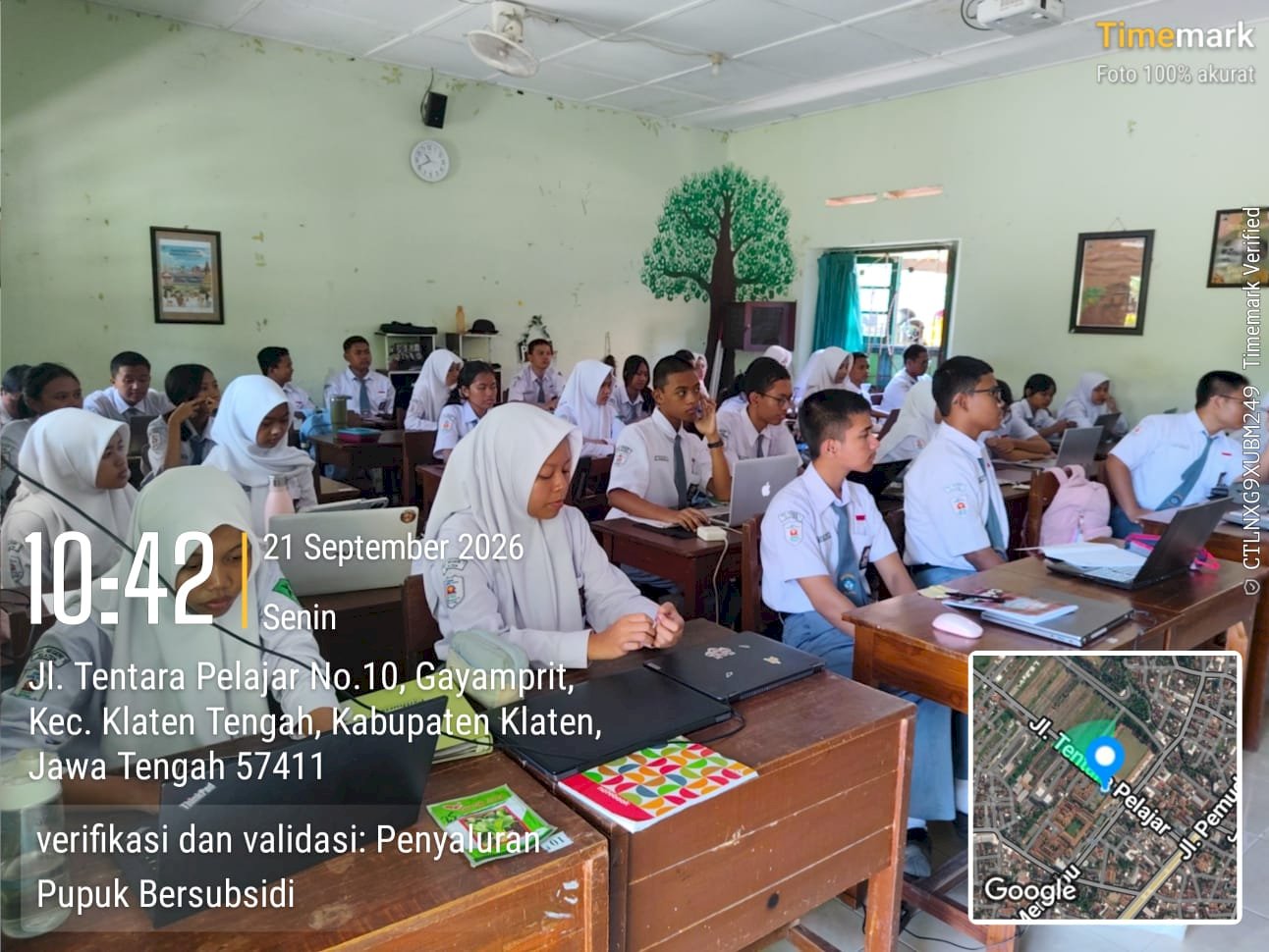 CO-Kurikuler Kelas 10 sebanyak 11 kelas Belajar Budidaya Sayuran Manfaatkan Lahan Sisa Masjid Belakang Sekolah