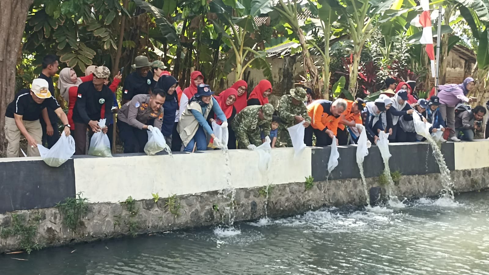 Pulihkan Ekosistem Sungai, DKPP Klaten Tebar 60.000 Ekor Benih Ikan Tawes dan Nilem di Perairan Umum Darat
