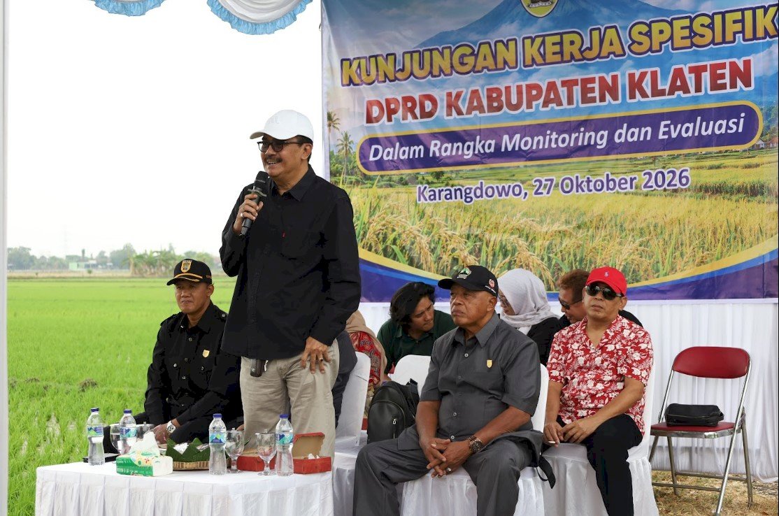 DKPP Klaten Siapkan Kunjungan Kerja Spesifik DPRD di Persawahan Desa Demangan Karangdowo