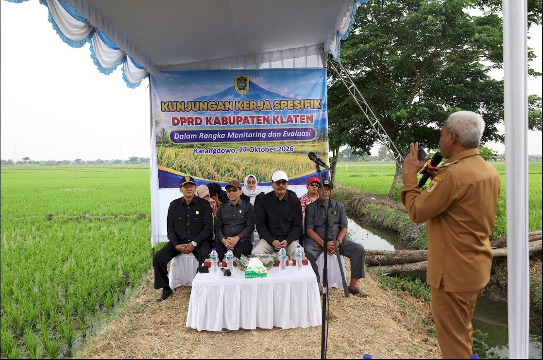 DKPP Klaten Siapkan Kunjungan Kerja Spesifik DPRD di Persawahan Desa Demangan Karangdowo