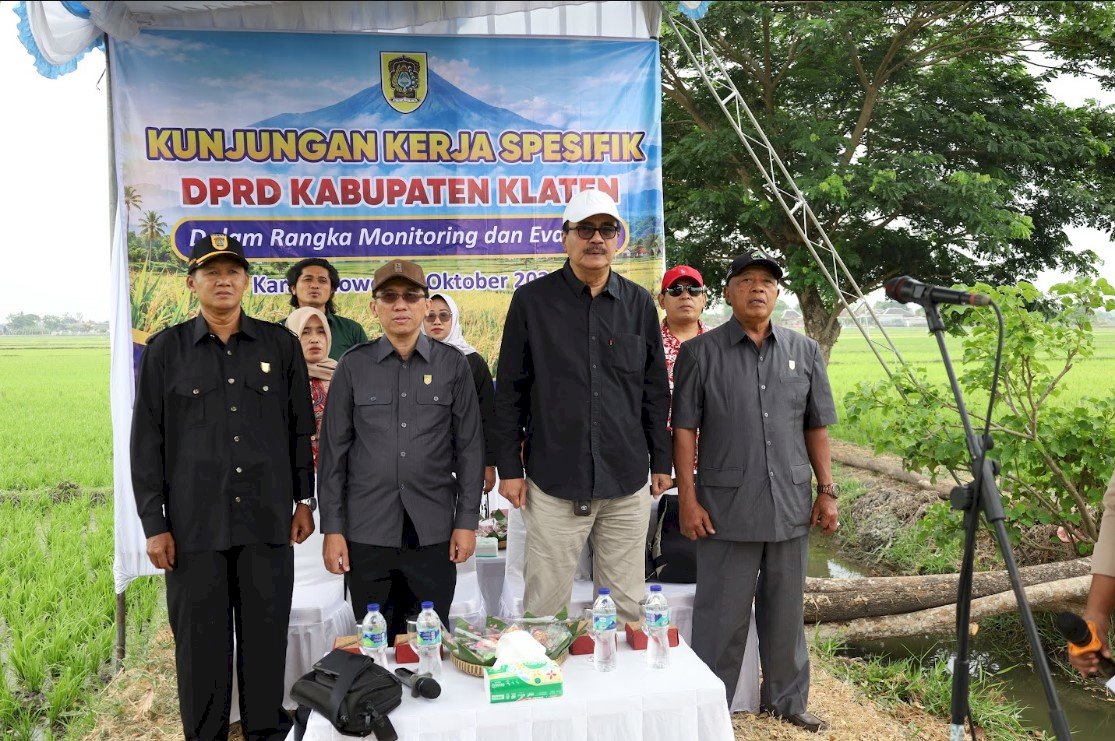 DKPP Klaten Siapkan Kunjungan Kerja Spesifik DPRD di Persawahan Desa Demangan Karangdowo